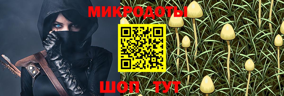 Псилоцибиновые грибы Psilocybine cubensis Качканар