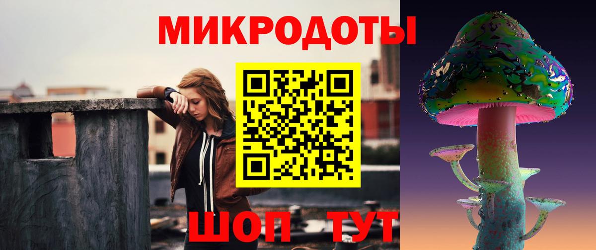 купить  сайты  Вход с VPN  Качканар  Галлюциногенные грибы Psilocybe 